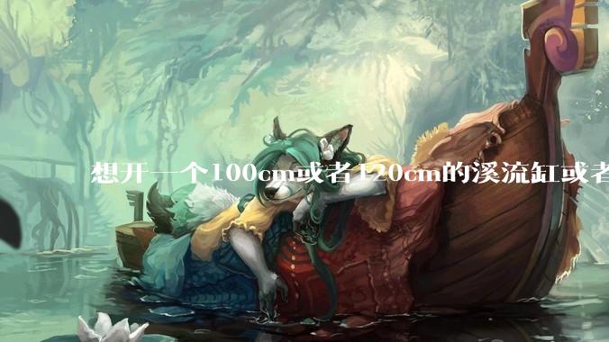 想开一个100cm或者120cm的溪流缸或者水草缸,有没有大佬指导一下,有哪些注意事项?