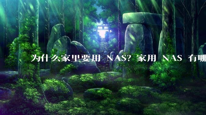 为什么家里要用 NAS?家用 NAS 有哪些实际的、接地气的用途?