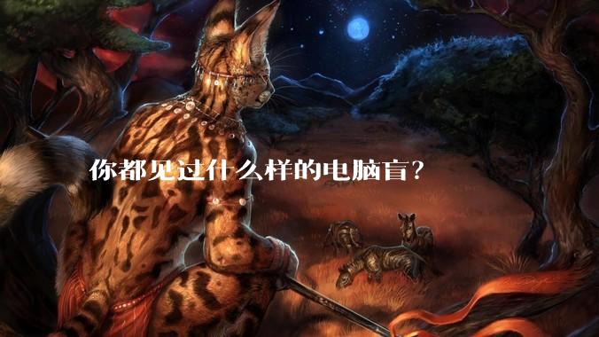 你都见过什么样的电脑盲?