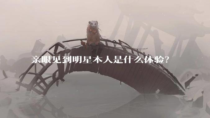 亲眼见到明星本人是什么体验?