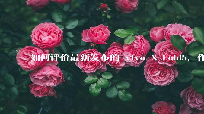 如何评价最新发布的 vivo X Fold5,作为首款「三防」折叠屏手机,都有哪些亮点值得关注?