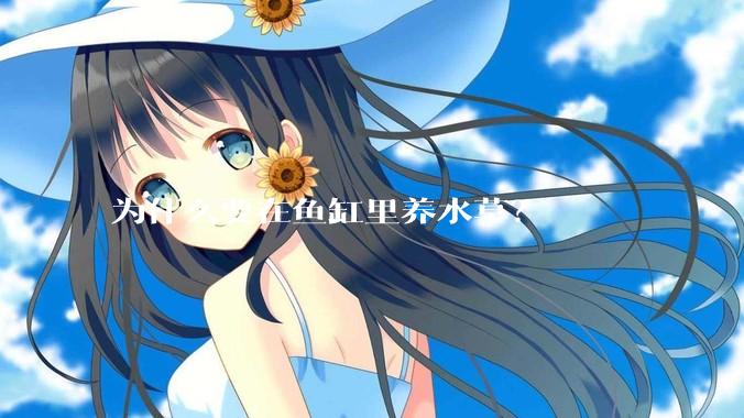 为什么要在鱼缸里养水草?