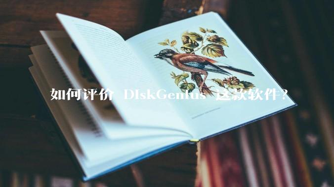 如何评价 DiskGenius 这款软件?