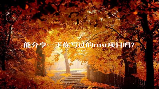 能分享一下你写过的rust项目吗?