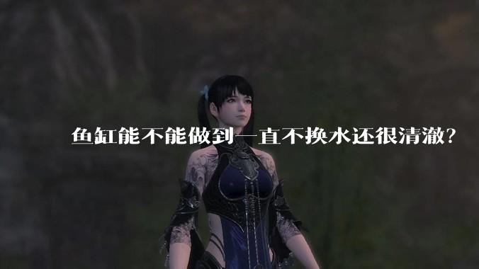 鱼缸能不能做到一直不换水还很清澈?