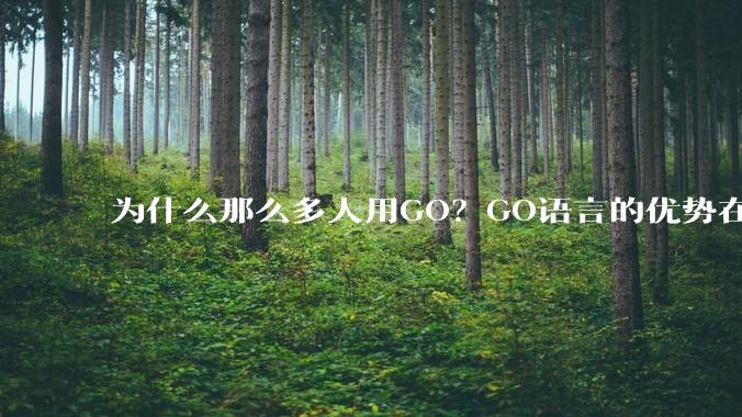 为什么那么多人用GO?GO语言的优势在哪里?
