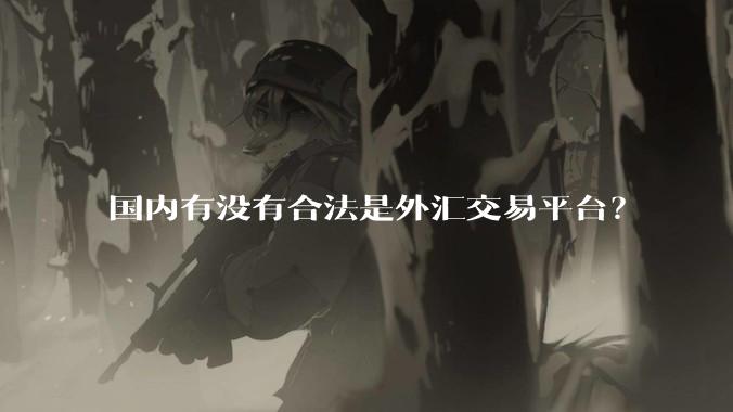 国内有没有合法是外汇交易平台?