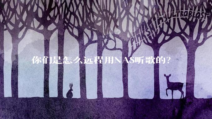 你们是怎么远程用NAS听歌的?