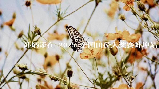 苏炳添在 2025 全国田径大奖赛蚌埠站 100 米预赛中止步小组第三,背后的原因可能有哪些?