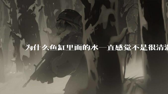 为什么鱼缸里面的水一直感觉不是很清澈呢？