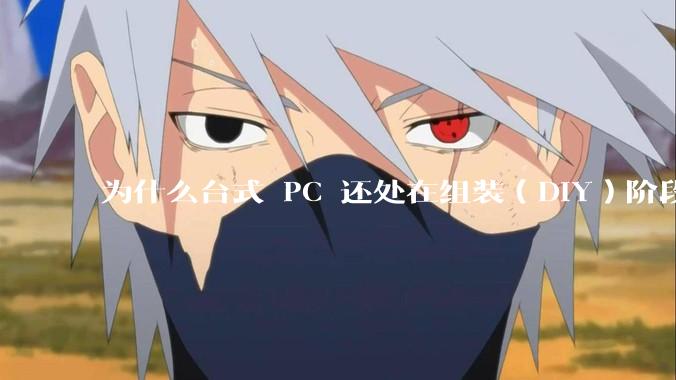 为什么台式 PC 还处在组装(DIY)阶段?