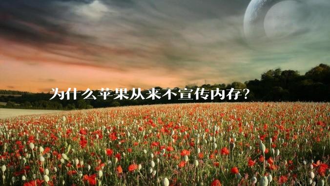 为什么苹果从来不宣传内存?