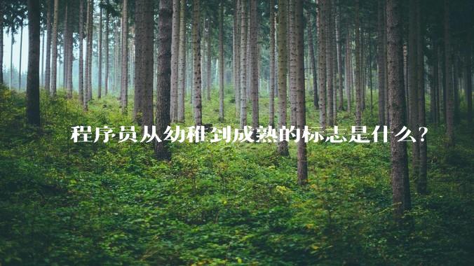 程序员从幼稚到成熟的标志是什么?