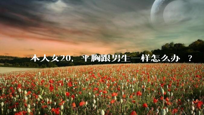 本人女20,平胸跟男生一样怎么办 ?