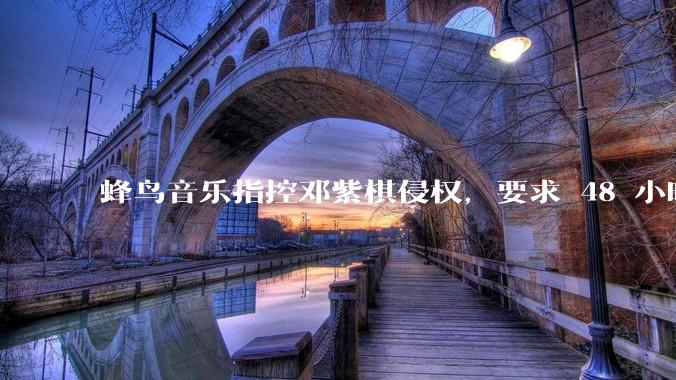 蜂鸟音乐指控邓紫棋侵权,要求 48 小时内下架重录歌曲,邓紫棋回应「不会下架」,这一指控合理吗?