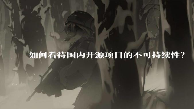 如何看待国内开源项目的不可持续性?