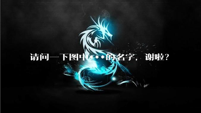 请问一下图中***的名字,谢啦?