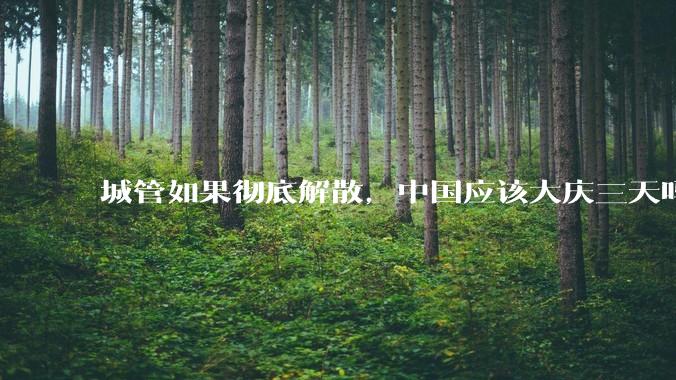 城管如果彻底解散,中国应该大庆三天吗?