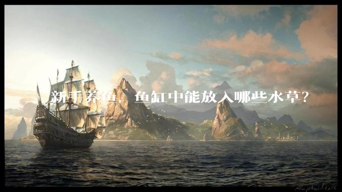 新手养鱼,鱼缸中能放入哪些水草?