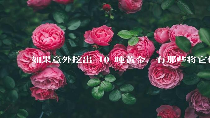 如果意外挖出 10 吨黄金,有那些将它们洗白、正常使用的方法?