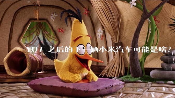YU7 之后的下一辆小米汽车可能是啥?小米会把所有车型做一遍吗?
