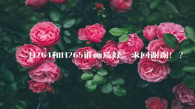 H264和H265谁画质好,求回谢谢!?