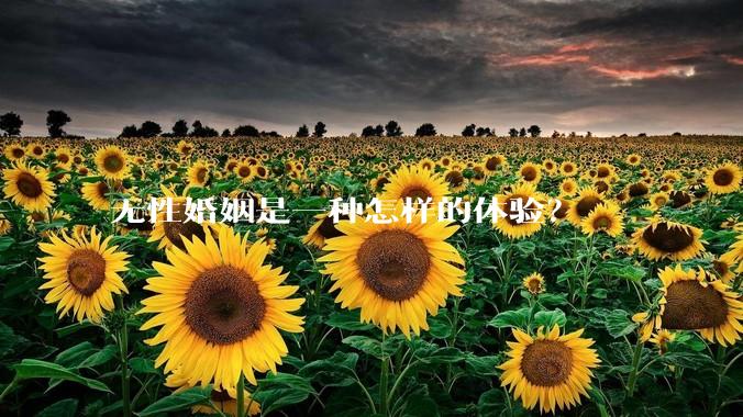 无性婚姻是一种怎样的体验?