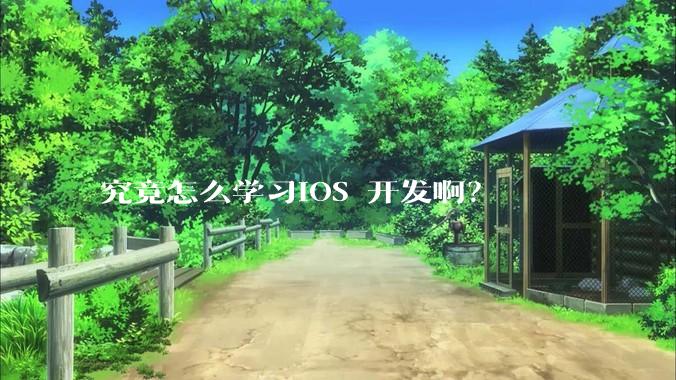 究竟怎么学习IOS 开发啊?