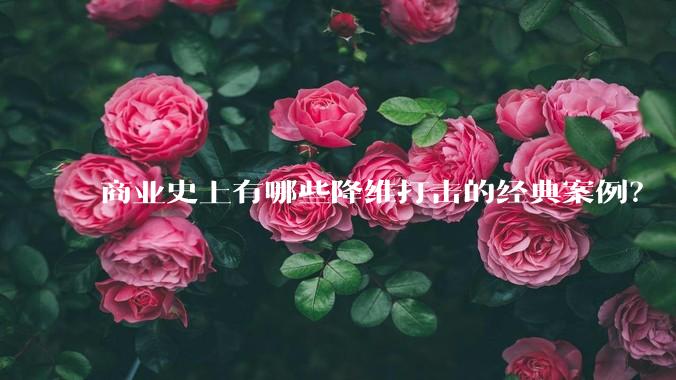 商业史上有哪些降维打击的经典案例?
