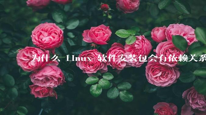 为什么 Linux 软件安装包会有依赖关系,而 Windows 软件安装包不需要?