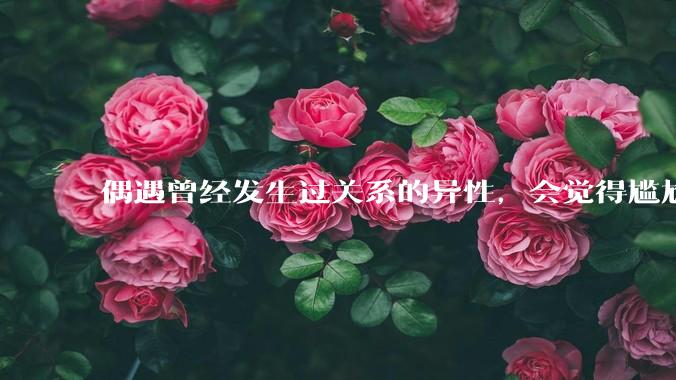 偶遇曾经发生过关系的异性,会觉得尴尬吗?