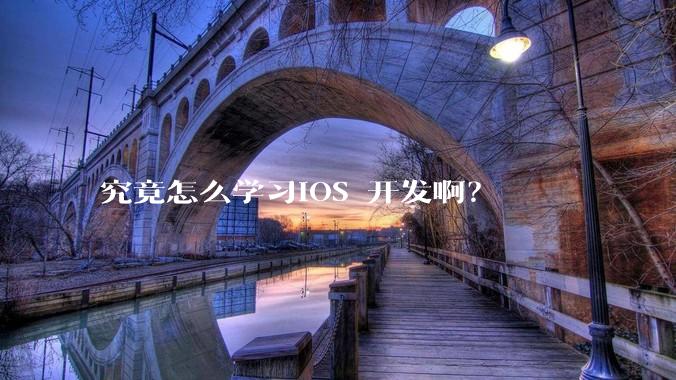 究竟怎么学习IOS 开发啊?