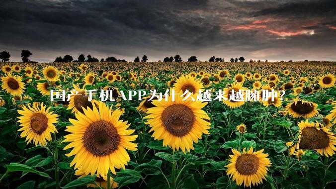 国产手机APP为什么越来越臃肿?