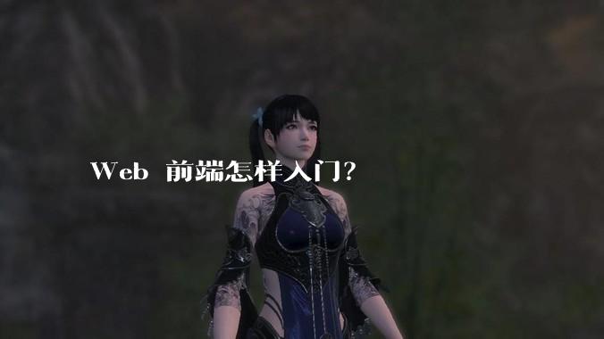 Web 前端怎样入门?