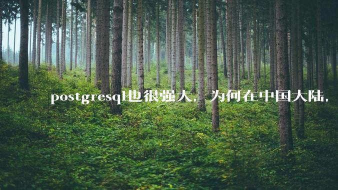 postgresql也很强大,为何在中国大陆,mysql成为主流,postgresql屈居二线呢?
