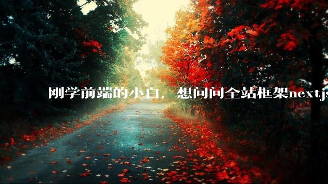刚学前端的小白,想问问全站框架nextjs+shadcn+prisma为什么在国内不火呢?