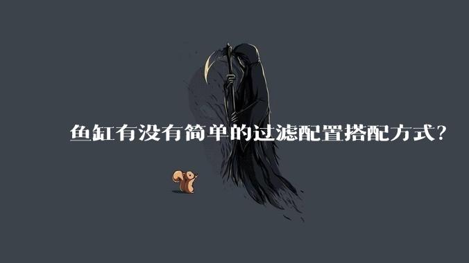 鱼缸有没有简单的过滤配置搭配方式?