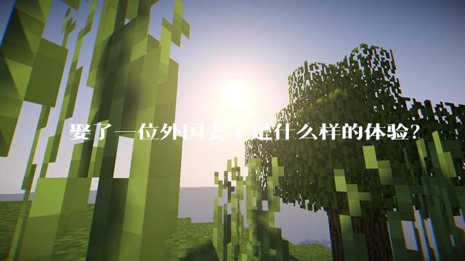 娶了一位外国妻子是什么样的体验?