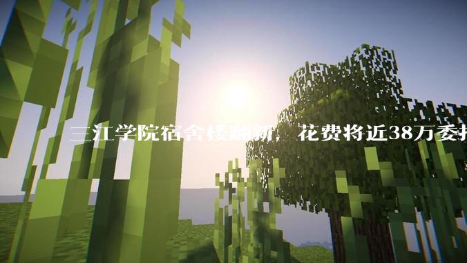 三江学院宿舍楼翻新，花费将近38万委托公司搬运行李，结果只有一个阿姨挑着扁担搬运行李，如何评价？