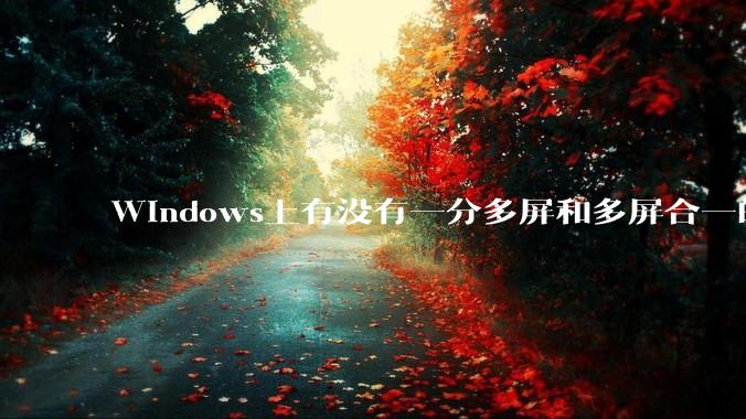 Windows上有没有一分多屏和多屏合一的软件?