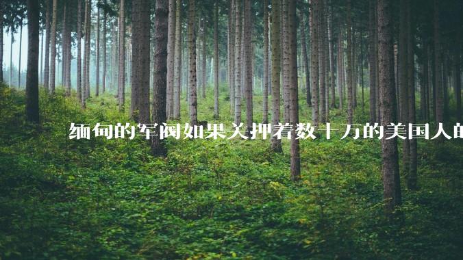 缅甸的军阀如果关押着数十万的美国人的话,美国会怎么做?