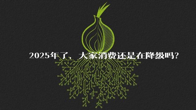 2025年了,大家消费还是在降级吗?