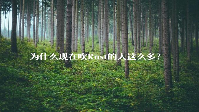 为什么现在吹Rust的人这么多?