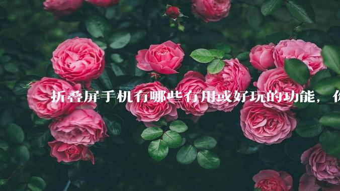 折叠屏手机有哪些有用或好玩的功能,你过去不理解,现在离不开?