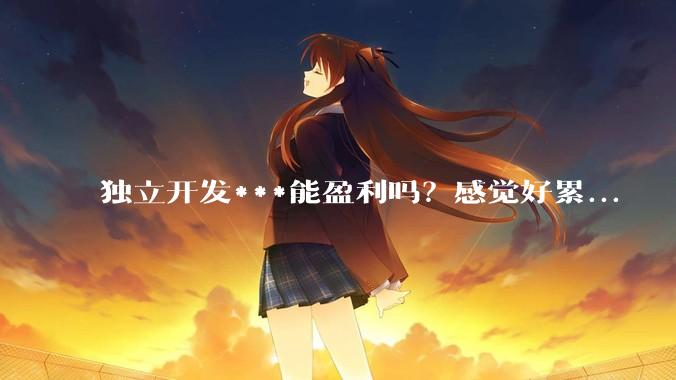 独立开发***能盈利吗?感觉好累...