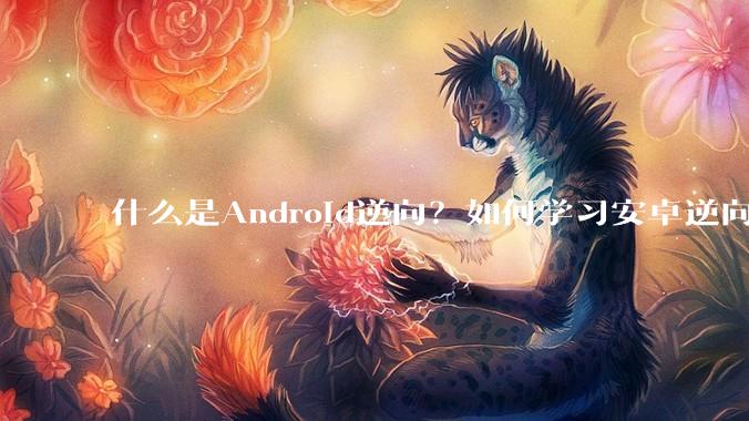 什么是Android逆向?如何学习安卓逆向?