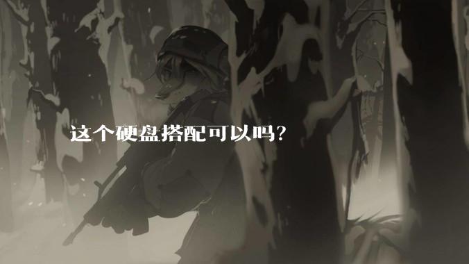 这个硬盘搭配可以吗?