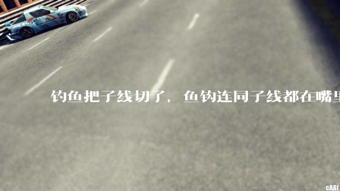 钓鱼把子线切了,鱼钩连同子线都在嘴里,鱼会死吗?