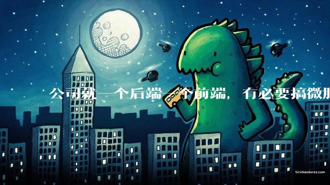 公司就一个后端一个前端,有必要搞微服务吗?