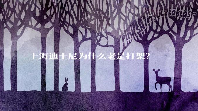 上海迪士尼为什么老是打架?